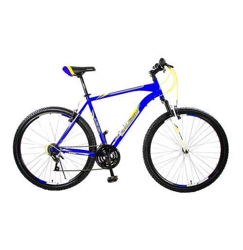 RALEIGH 29er Alpine Mountain Bike