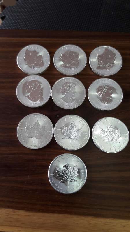 Pure Silver 1 Oz Canadian Maple Leaf Bullion coin. 10 Available, BID PER COIN.