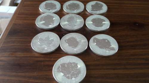 Pure Silver 1 Oz Canadian Maple Leaf Bullion coin. 10 Available, BID PER COIN.