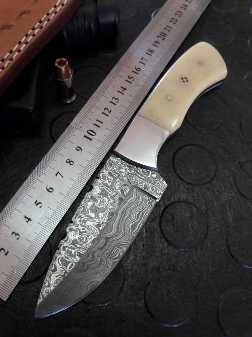 Handmade DAMASCUS Steel Knife, Camel Bone handle scales. Crazy R1 start, No reserve.