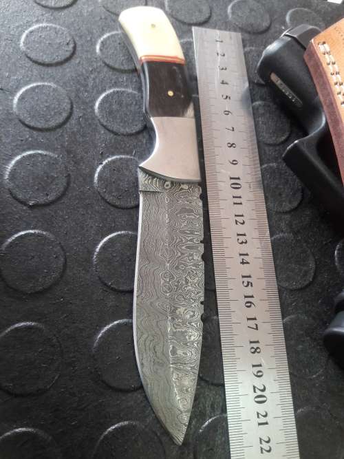 Handmade DAMASCUS steel Knife with Camel bone and bull horn handle. R1 start, No reserve auction.