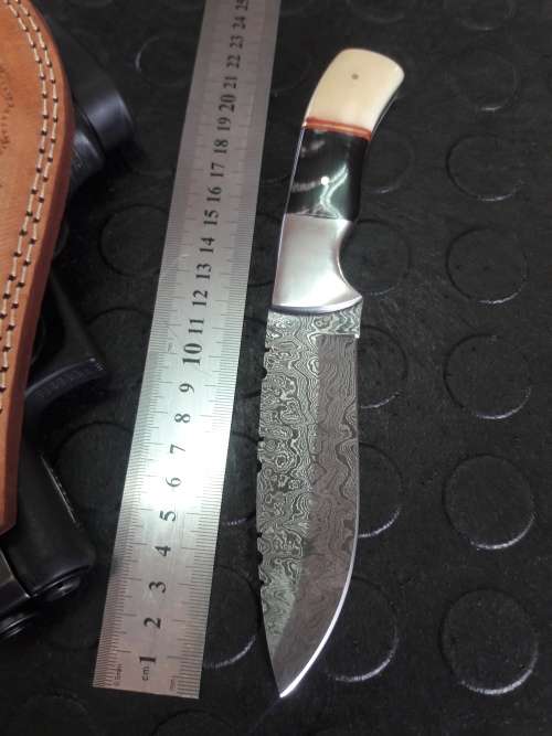 Handmade DAMASCUS steel Knife with Camel bone and bull horn handle. R1 start, No reserve auction.
