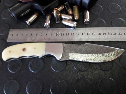 Handmade DAMASCUS Steel Knife, Camel Bone handle scales. Crazy R1 start, No reserve.