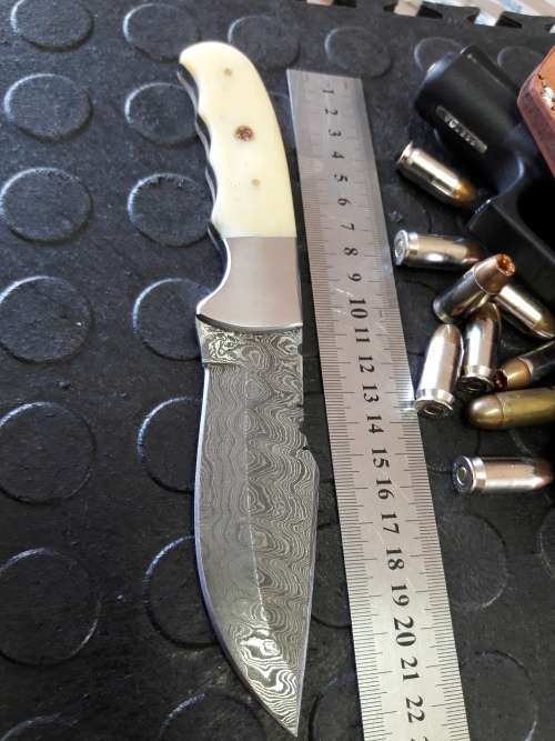 Handmade DAMASCUS Steel Knife, Camel Bone handle scales. Crazy R1 start, No reserve.