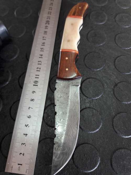 Handmade DAMASCUS Steel Knife, Camel bone and wooden handle scales. Crazy R1 start, No rese