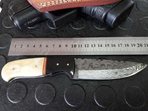 Handmade DAMASCUS steel Knife with Camel bone and bull horn handle. R1 start, No reserve auction.