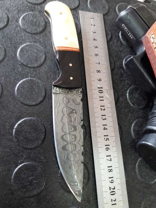 Handmade DAMASCUS steel Knife with Camel bone and bull horn handle. R1 start, No reserve auction.