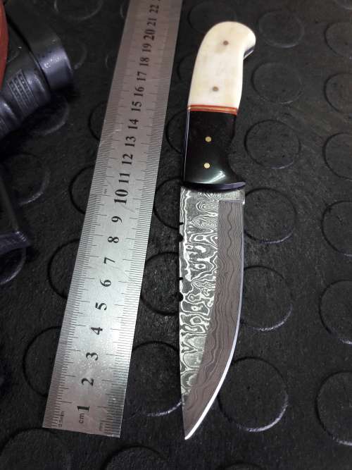 Handmade DAMASCUS steel Knife with Camel bone and bull horn handle. R1 start, No reserve auction.