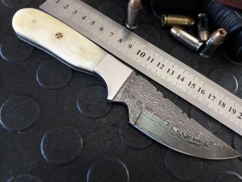 Handmade DAMASCUS Steel Knife, Camel Bone handle scales. Crazy R1 start, No reserve.