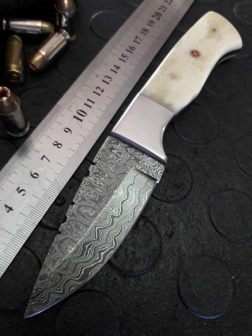 Handmade DAMASCUS Steel Knife, Camel Bone handle scales. Crazy R1 start, No reserve.