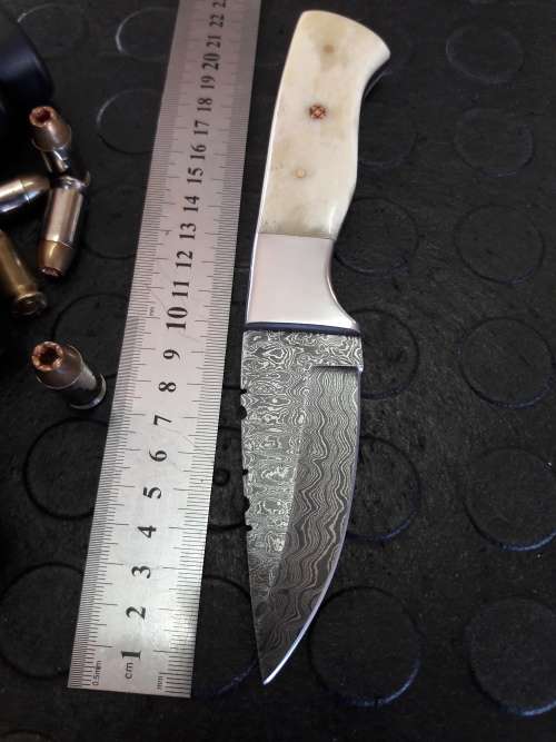 Handmade DAMASCUS Steel Knife, Camel Bone handle scales. Crazy R1 start, No reserve.