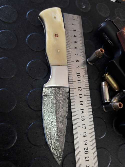 Handmade DAMASCUS Steel Knife, Camel Bone handle scales. Crazy R1 start, No reserve.