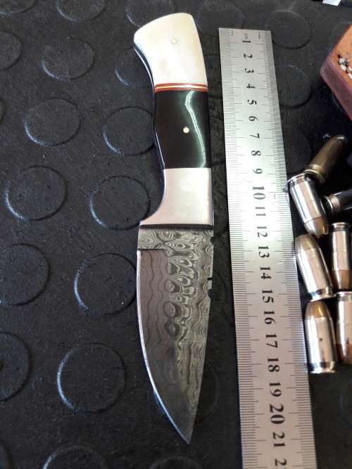 Handmade DAMASCUS steel Knife with Camel bone and bull horn handle. R1 start, No reserve auction.