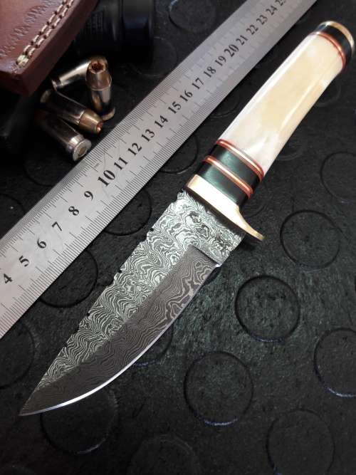 Handmade DAMASCUS Steel Knife, Camel Bone handle. Crazy R1 start, No reserve.