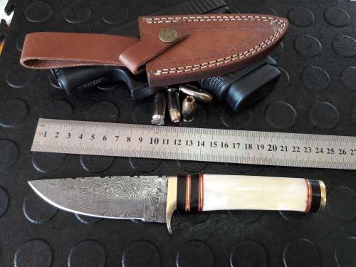 Handmade DAMASCUS Steel Knife, Camel Bone handle. Crazy R1 start, No reserve.