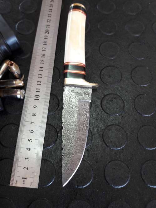 Handmade DAMASCUS Steel Knife, Camel Bone handle. Crazy R1 start, No reserve.