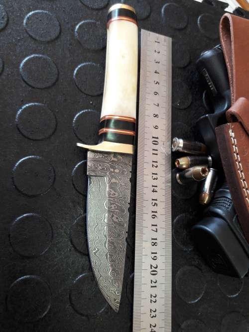 Handmade DAMASCUS Steel Knife, Camel Bone handle. Crazy R1 start, No reserve.