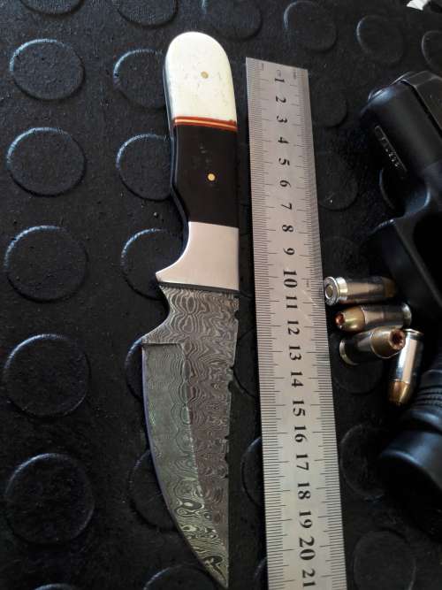 Handmade DAMASCUS Steel Knife, Camel Bone and Bull horn handle scales. Crazy R1 start, No reserve.