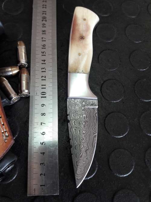 Handmade DAMASCUS Steel Knife, Camel Bone handle. Crazy R1 start, No reserve.