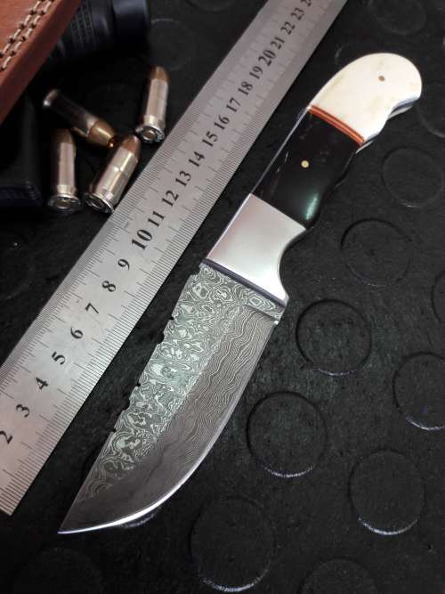 Handmade DAMASCUS Steel Knife, Camel Bone and Bull horn handle scales. Crazy R1 start, No reserve.