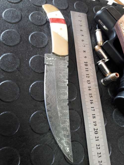 Handmade DAMASCUS Steel Knife, Camel Bone handle. Crazy R1 start, No reserve.