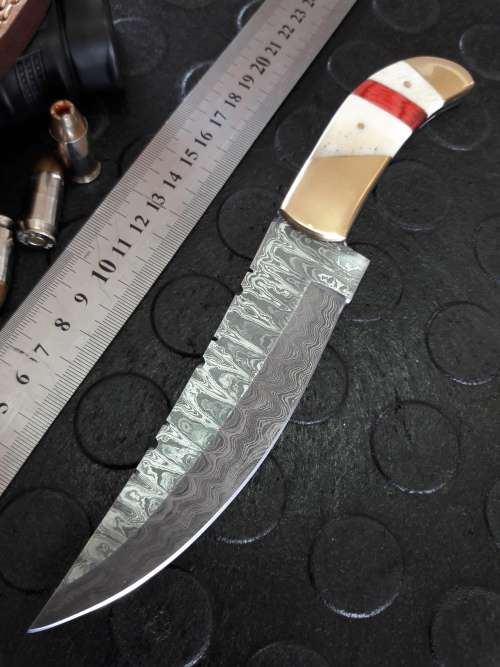 Handmade DAMASCUS Steel Knife, Camel Bone handle. Crazy R1 start, No reserve.