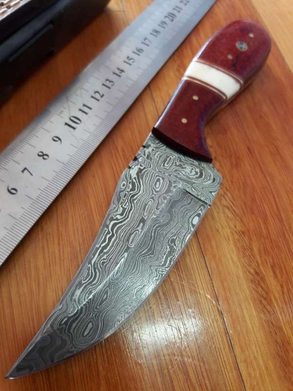 Handmade DAMASCUS Steel Knife, MICARTA and Camel Bone handle scales. Crazy R1 start, No reserve.
