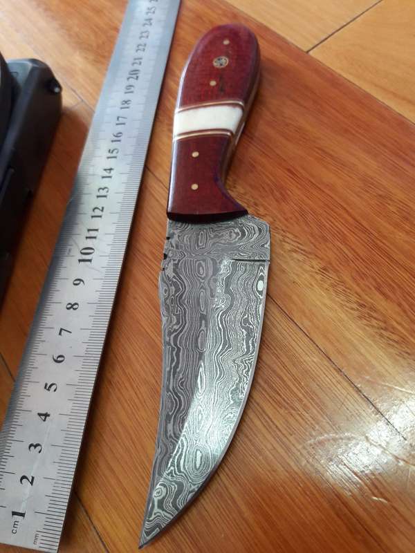 Handmade DAMASCUS Steel Knife, MICARTA and Camel Bone handle scales. Crazy R1 start, No reserve.