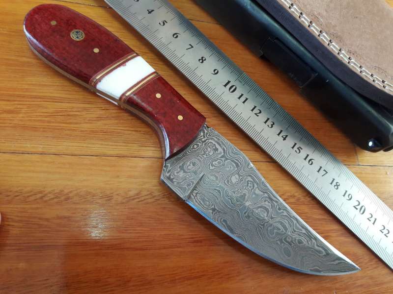 Handmade DAMASCUS Steel Knife, MICARTA and Camel Bone handle scales. Crazy R1 start, No reserve.
