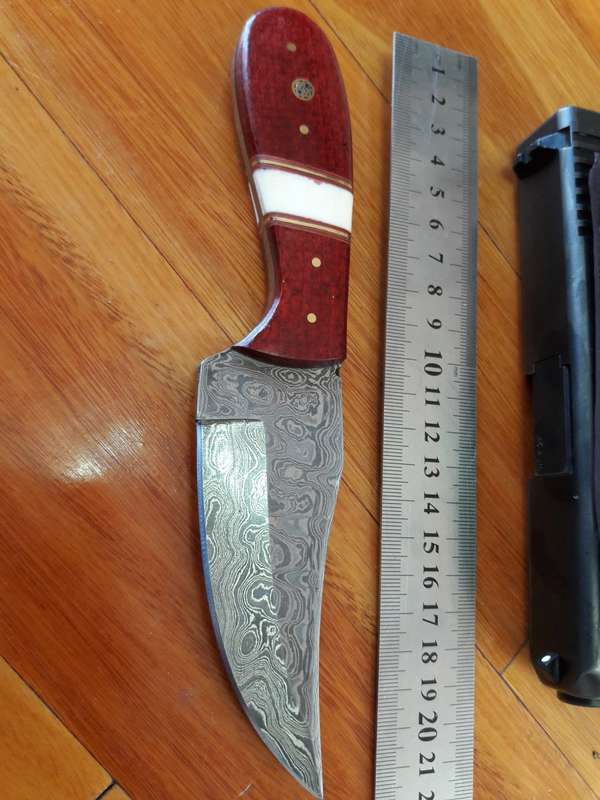 Handmade DAMASCUS Steel Knife, MICARTA and Camel Bone handle scales. Crazy R1 start, No reserve.