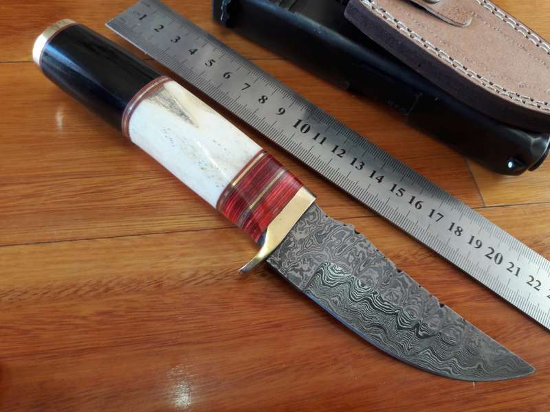 Handmade DAMASCUS Steel Knife, Camel Bone and Bull horn handle scales. Crazy R1 start, No reserve.