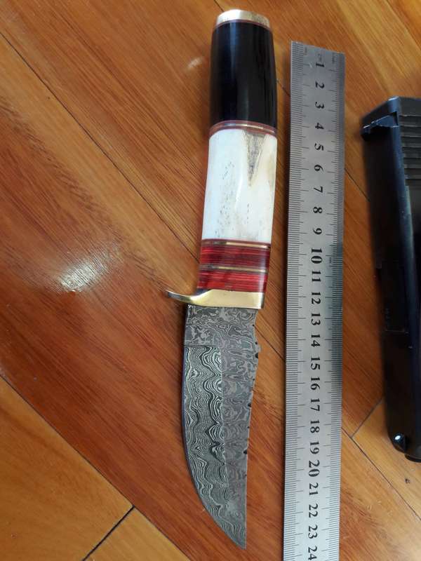 Handmade DAMASCUS Steel Knife, Camel Bone and Bull horn handle scales. Crazy R1 start, No reserve.