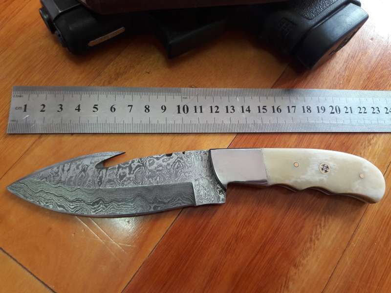Handmade DAMASCUS Steel Knife, Camel Bone handle scales and gut hook.  Crazy R1 start, No reserve.