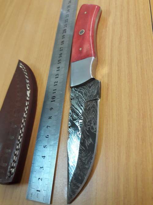 Handmade DAMASCUS Steel Knife, Camel Bone handle. Crazy R1 start, No reserve.