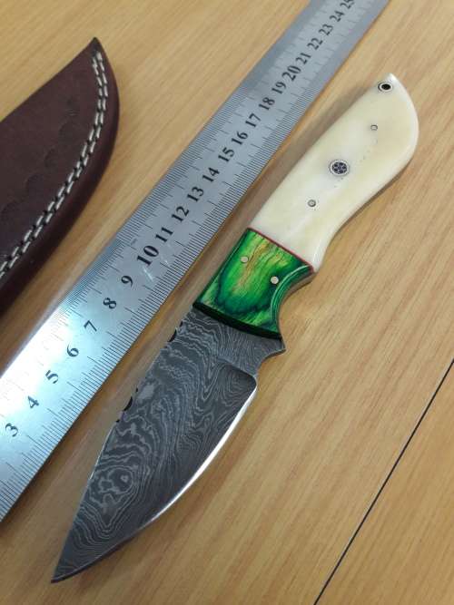 Handmade DAMASCUS Steel Knife, Camel Bone and wooden handle scales.