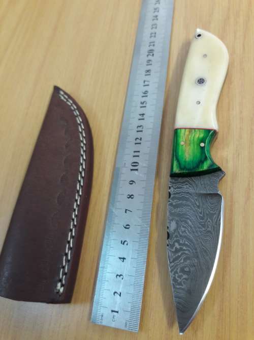 Handmade DAMASCUS Steel Knife, Camel Bone and wooden handle scales.
