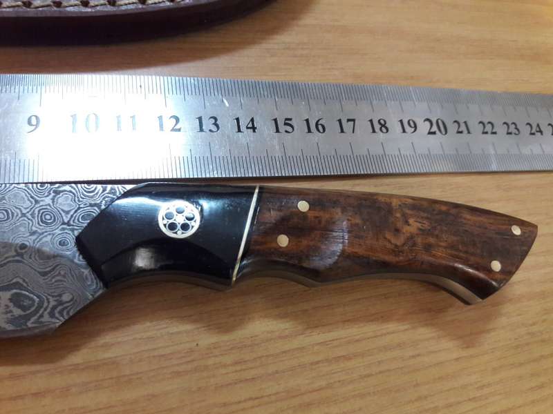 Handmade DAMASCUS Steel Knife, Bull Horn and Wooden handle. BRAND NEW DESIGN!!!