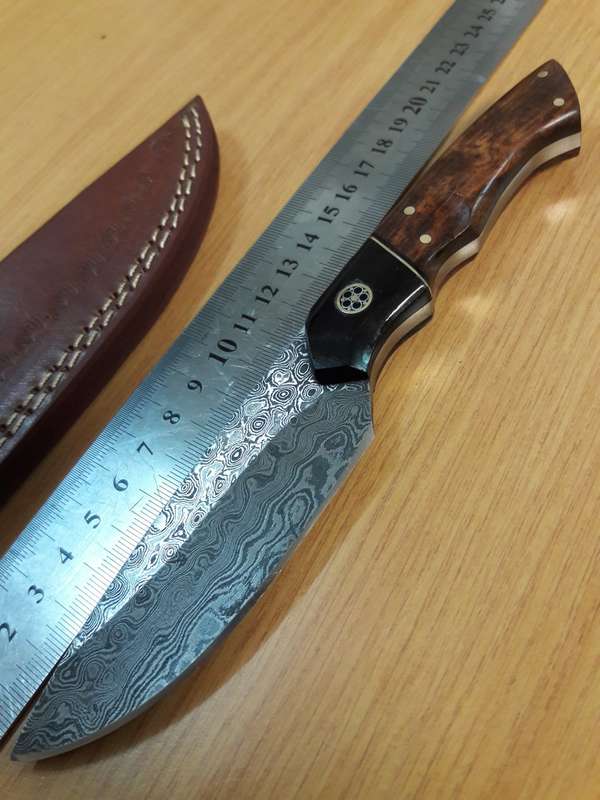 Handmade DAMASCUS Steel Knife, Bull Horn and Wooden handle. BRAND NEW DESIGN!!!