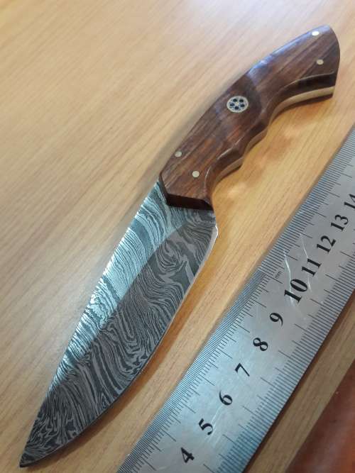 Handmade DAMASCUS Steel Knife, Wooden handle Scales. NEW DESIGN !!!!!!!