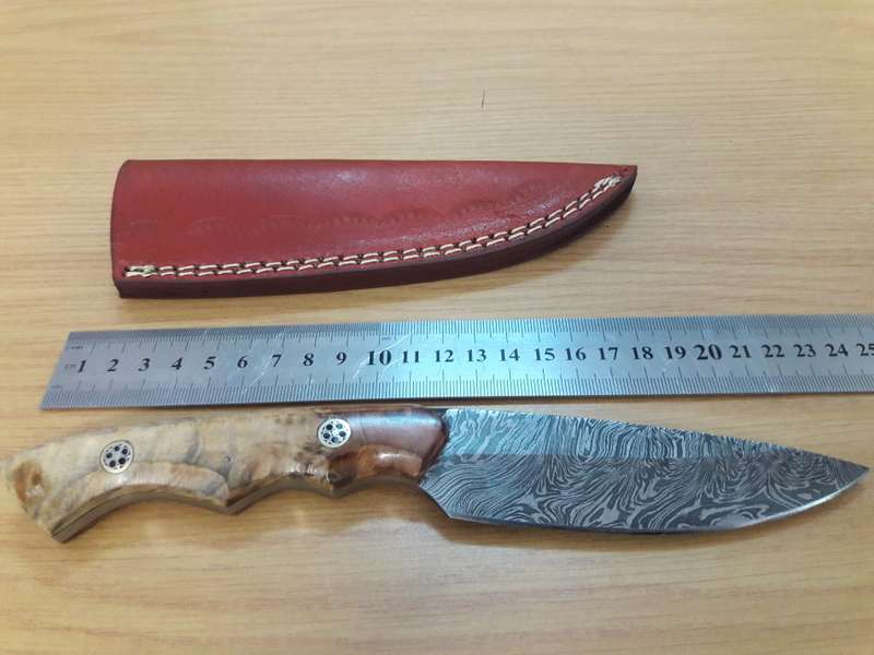 Handmade DAMASCUS Steel Knife, Wooden handle Scales. NEW DESIGN !!!!!!!
