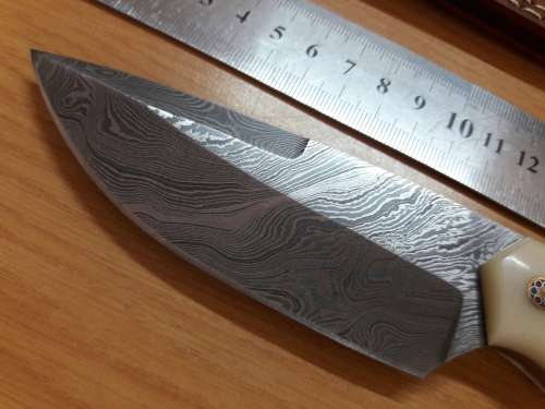 Handmade DAMASCUS Steel Knife, Bull horn and Camel Bone handle scales. NEW DESIGN !!!!!