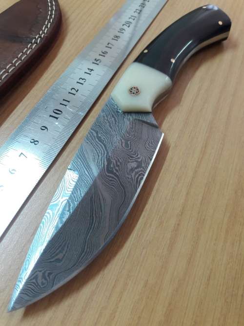 Handmade DAMASCUS Steel Knife, Bull horn and Camel Bone handle scales. NEW DESIGN !!!!!