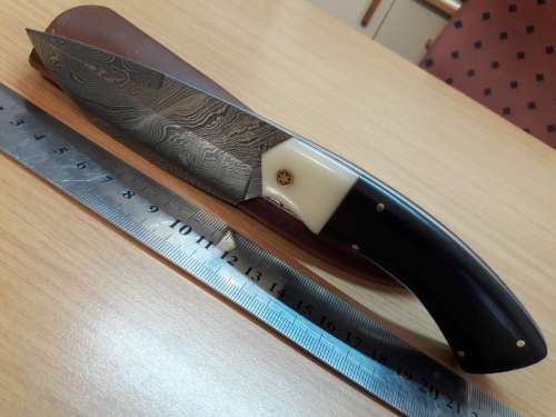 Handmade DAMASCUS Steel Knife, Bull horn and Camel Bone handle scales. NEW DESIGN !!!!!