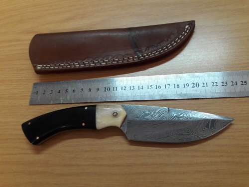 Handmade DAMASCUS Steel Knife, Bull horn and Camel Bone handle scales. NEW DESIGN !!!!!