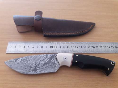 Handmade DAMASCUS Steel Hunting Knife, Bull horn and Camel Bone handle scales. NEW DESIGN !!!!!