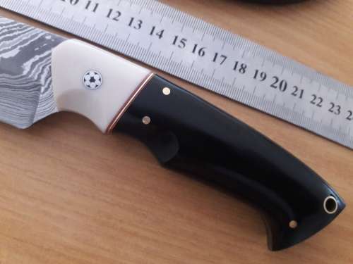 Handmade DAMASCUS Steel Hunting Knife, Bull horn and Camel Bone handle scales. NEW DESIGN !!!!!