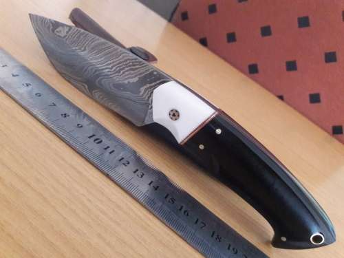 Handmade DAMASCUS Steel Hunting Knife, Bull horn and Camel Bone handle scales. NEW DESIGN !!!!!