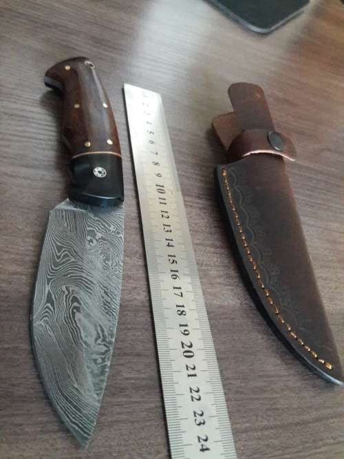 Handmade DAMASCUS Steel Hunting Knife with BULL HORN & Wooden handle scales. NEW DESIGN !!!!!