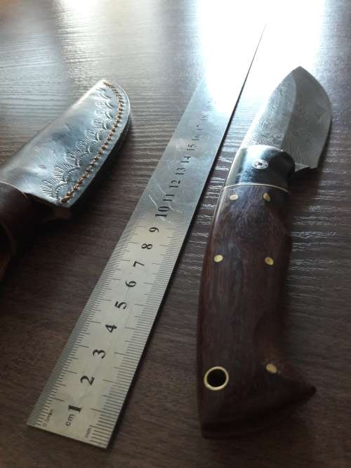 Handmade DAMASCUS Steel Hunting Knife with BULL HORN & Wooden handle scales. NEW DESIGN !!!!!