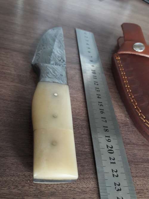Handmade DAMASCUS Steel Hunting Knife, FULL TANG, Bull  Camel Bone handle w Damascus steel bolster